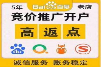 案例解析：百度推广排名提升的实战技巧